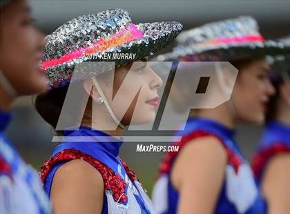 Thumbnail 3 in Lamar @ Houston Heights photogallery.