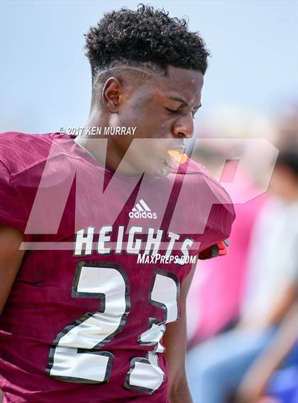 Thumbnail 2 in Lamar @ Houston Heights photogallery.
