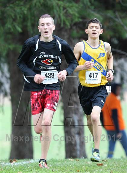 Thumbnail 1 in NYSPHSAA Cross Country Championships (Boys Class C) photogallery.