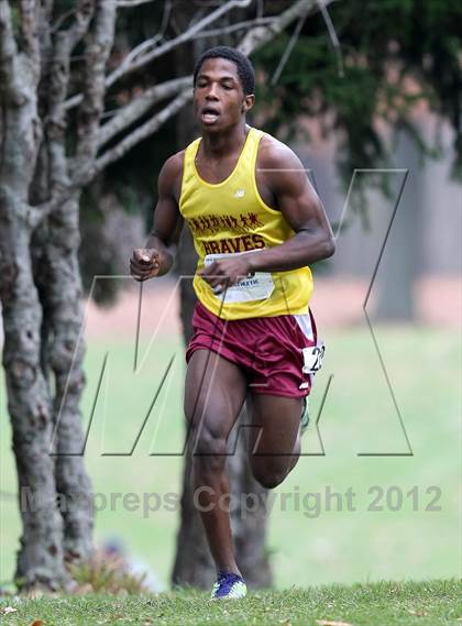 Thumbnail 1 in NYSPHSAA Cross Country Championships (Boys Class C) photogallery.