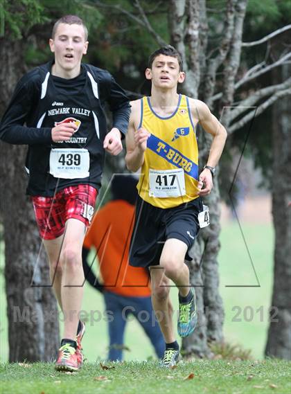 Thumbnail 2 in NYSPHSAA Cross Country Championships (Boys Class C) photogallery.