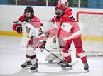 Photo from the gallery "Greenwich @ Fairfield Warde/Ludlowe"