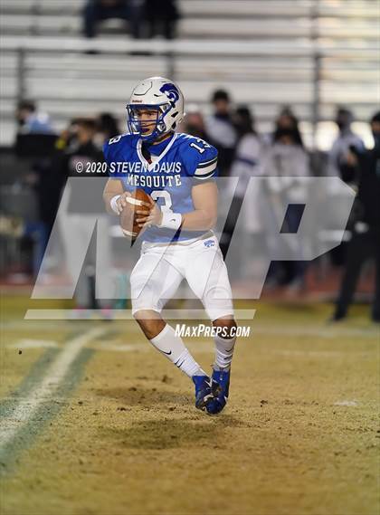 Thumbnail 1 in Cactus @ Mesquite (AIA 4A Final) photogallery.