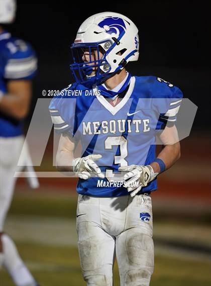 Thumbnail 1 in Cactus @ Mesquite (AIA 4A Final) photogallery.