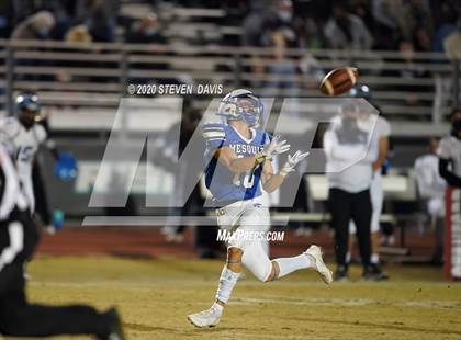 Thumbnail 1 in Cactus @ Mesquite (AIA 4A Final) photogallery.
