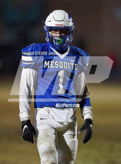 Thumbnail 1 in Cactus @ Mesquite (AIA 4A Final) photogallery.