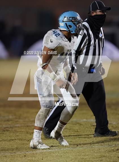 Thumbnail 1 in Cactus @ Mesquite (AIA 4A Final) photogallery.