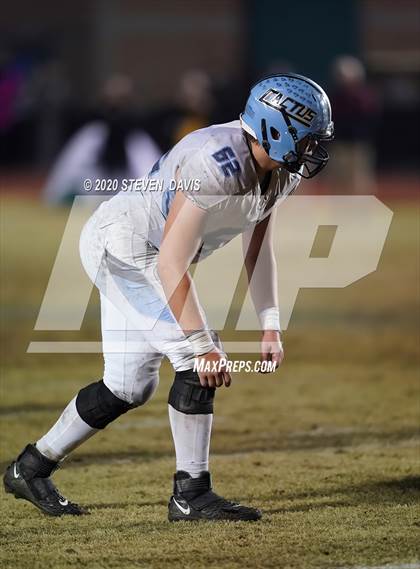 Thumbnail 1 in Cactus @ Mesquite (AIA 4A Final) photogallery.