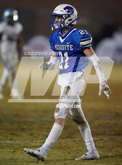 Thumbnail 3 in Cactus @ Mesquite (AIA 4A Final) photogallery.