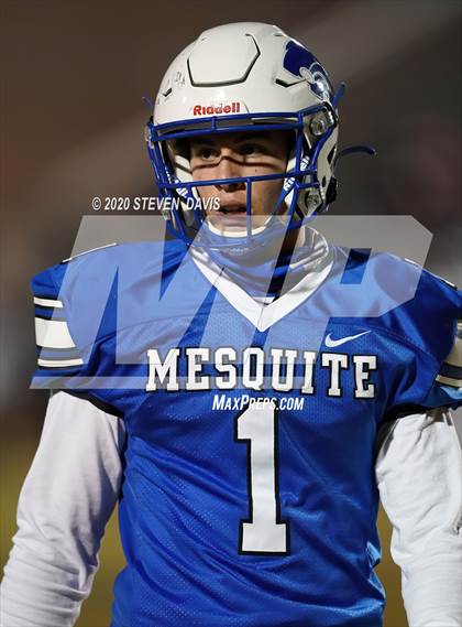 Thumbnail 1 in Cactus @ Mesquite (AIA 4A Final) photogallery.