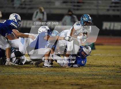 Thumbnail 1 in Cactus @ Mesquite (AIA 4A Final) photogallery.