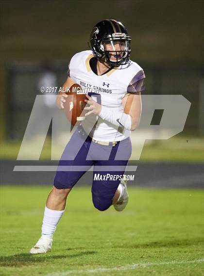 Thumbnail 2 in Holly Springs @ Garner Magnet photogallery.