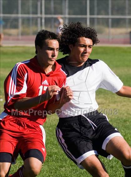 Thumbnail 1 in Beyer @ Johansen photogallery.