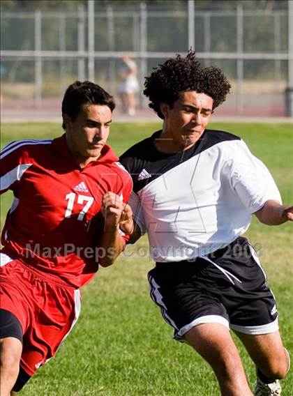 Thumbnail 3 in Beyer @ Johansen photogallery.