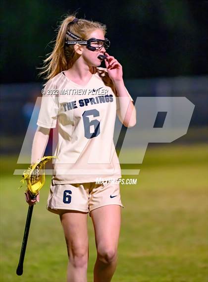 Thumbnail 3 in Holly Springs @ Terry Sanford photogallery.