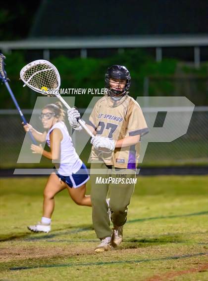 Thumbnail 3 in Holly Springs @ Terry Sanford photogallery.