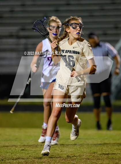Thumbnail 3 in Holly Springs @ Terry Sanford photogallery.