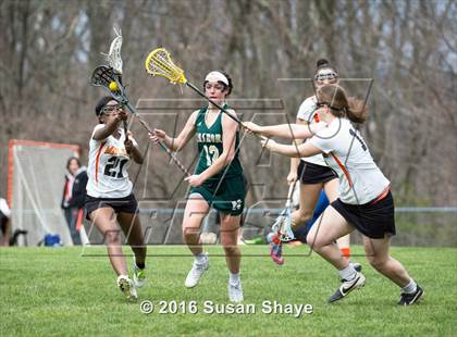 Thumbnail 2 in Nashoba Regional @ Marlborough photogallery.