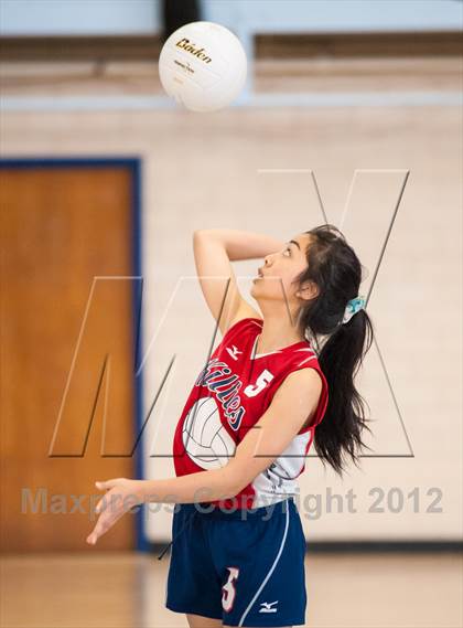 Thumbnail 2 in Shea vs. Mt. Pleasant (RIIL D3 Final) photogallery.