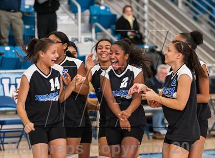 Thumbnail 1 in Shea vs. Mt. Pleasant (RIIL D3 Final) photogallery.