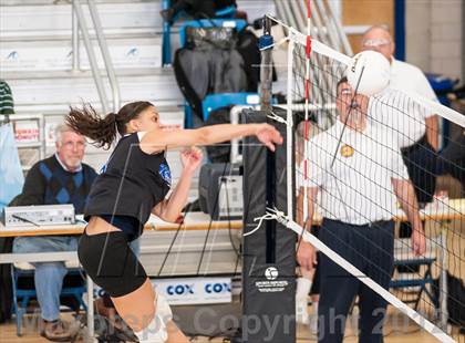 Thumbnail 3 in Shea vs. Mt. Pleasant (RIIL D3 Final) photogallery.