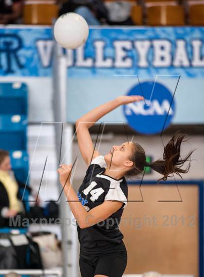 Thumbnail 2 in Shea vs. Mt. Pleasant (RIIL D3 Final) photogallery.