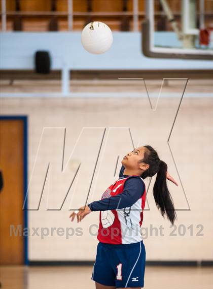 Thumbnail 2 in Shea vs. Mt. Pleasant (RIIL D3 Final) photogallery.