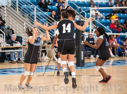 Thumbnail 2 in Shea vs. Mt. Pleasant (RIIL D3 Final) photogallery.