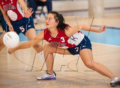 Thumbnail 2 in Shea vs. Mt. Pleasant (RIIL D3 Final) photogallery.