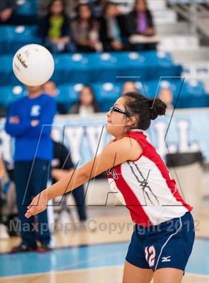 Thumbnail 1 in Shea vs. Mt. Pleasant (RIIL D3 Final) photogallery.