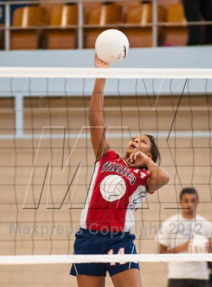 Thumbnail 2 in Shea vs. Mt. Pleasant (RIIL D3 Final) photogallery.