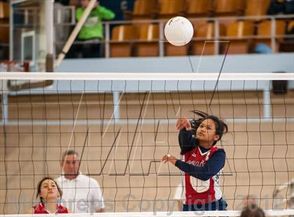 Thumbnail 3 in Shea vs. Mt. Pleasant (RIIL D3 Final) photogallery.