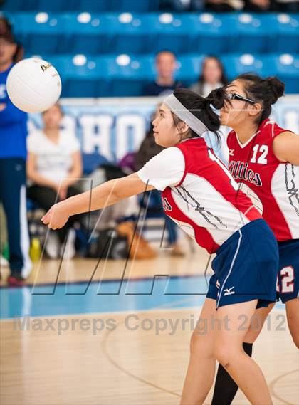Thumbnail 3 in Shea vs. Mt. Pleasant (RIIL D3 Final) photogallery.
