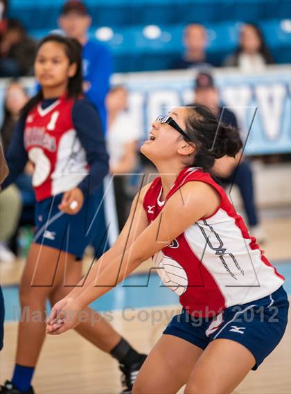 Thumbnail 1 in Shea vs. Mt. Pleasant (RIIL D3 Final) photogallery.