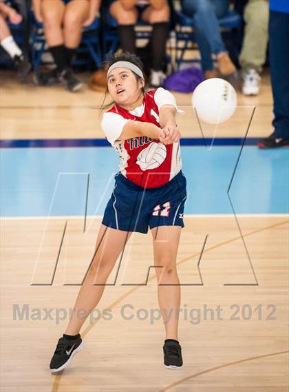 Thumbnail 1 in Shea vs. Mt. Pleasant (RIIL D3 Final) photogallery.