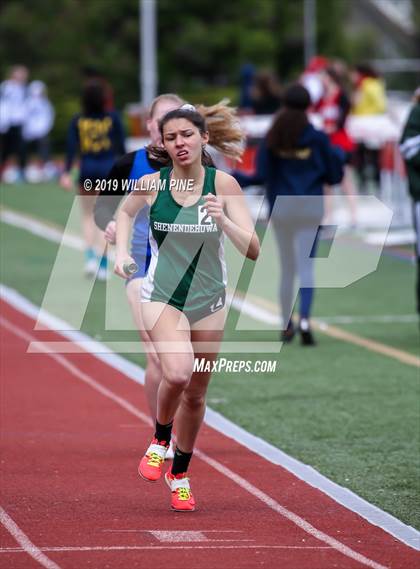 Thumbnail 2 in Kingston Tiger Relays (Afternoon Girls Events) photogallery.