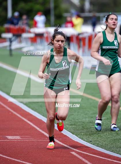 Thumbnail 1 in Kingston Tiger Relays (Afternoon Girls Events) photogallery.