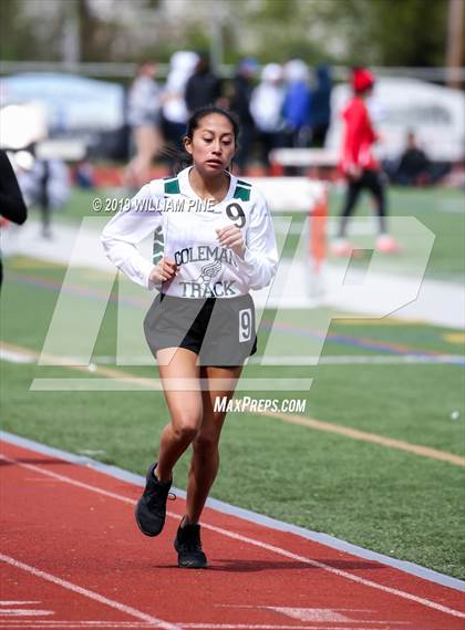 Thumbnail 2 in Kingston Tiger Relays (Afternoon Girls Events) photogallery.