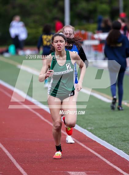 Thumbnail 1 in Kingston Tiger Relays (Afternoon Girls Events) photogallery.