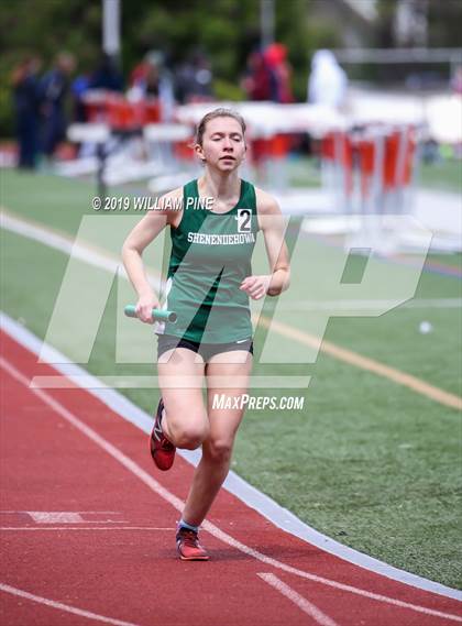 Thumbnail 2 in Kingston Tiger Relays (Afternoon Girls Events) photogallery.