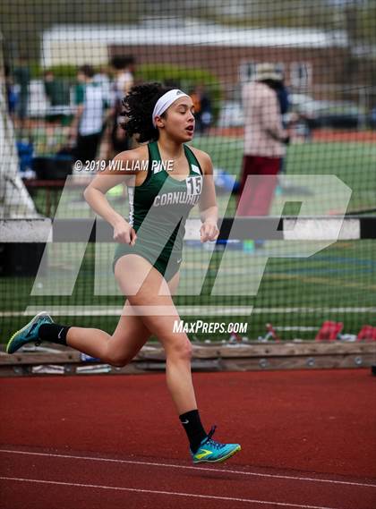 Thumbnail 2 in Kingston Tiger Relays (Afternoon Girls Events) photogallery.