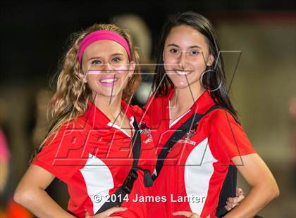 Thumbnail 2 in Mansfield Legacy @ Lake Ridge photogallery.