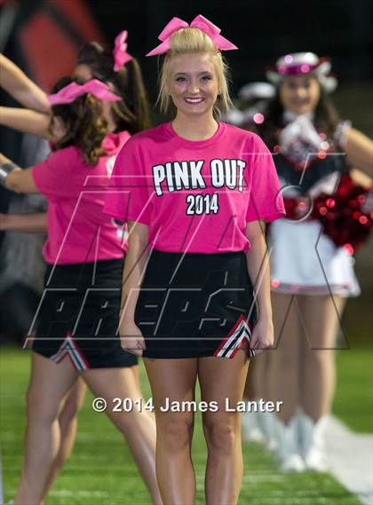 Thumbnail 2 in Mansfield Legacy @ Lake Ridge photogallery.