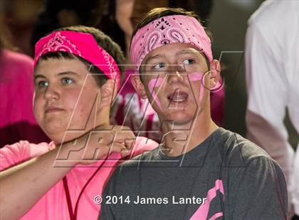 Thumbnail 3 in Mansfield Legacy @ Lake Ridge photogallery.