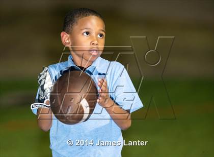 Thumbnail 2 in Mansfield Legacy @ Lake Ridge photogallery.