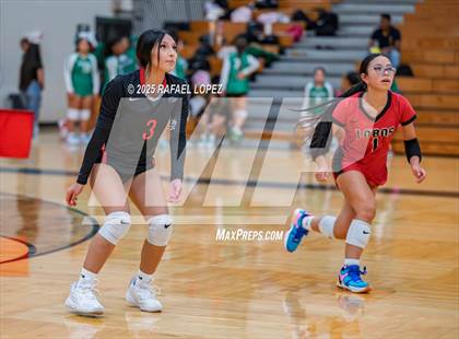 Thumbnail 2 in Langham Creek vs. Pasadena photogallery.