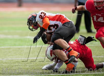 Thumbnail 3 in Montville @ Norwich Free Academy photogallery.