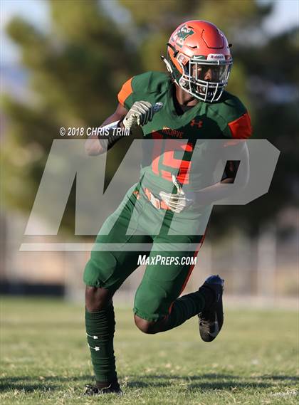 Thumbnail 1 in Palo Verde @ Mojave photogallery.