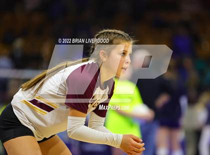 Thumbnail 1 in Resurrection Christian vs. Alamosa (CHSAA 3A State Championships Quarterfinal) photogallery.