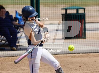 Thumbnail 2 in Kingfisher @ (JV) Woodward photogallery.